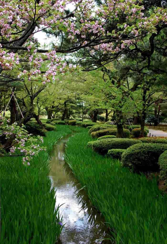 Garten-gestaltung-ideen-asiatisch-inspiriert-blühende-bäume-natürlicher-bach