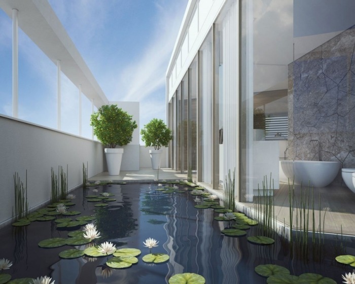 Private-Penthouse-Dachterrasse-mit-kleinem-Kunstteich-Wasserlilien-tropische-gewächse