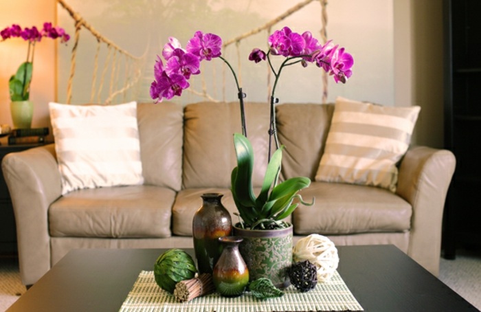 Raumdekoration-mit-Orchideen-Blumenvasen-und-Rauchbälle