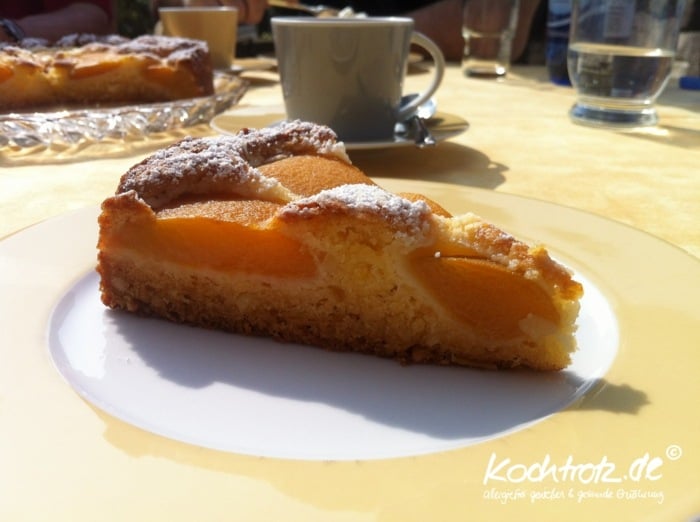Rezept Ideen für laktosefreien Kuchen obstkuchen aprikose