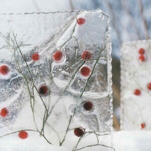 Gartendeko aus Eis