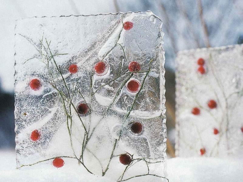 Winter-Gartendeko-mit-Eis-selber-machen-Früchte-eingefroren-eisblock