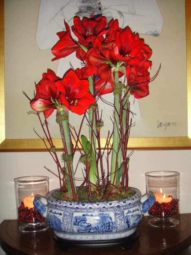 Amaryllis Blumengestecke rot schale chinesisch stil zweige kerzen beeren