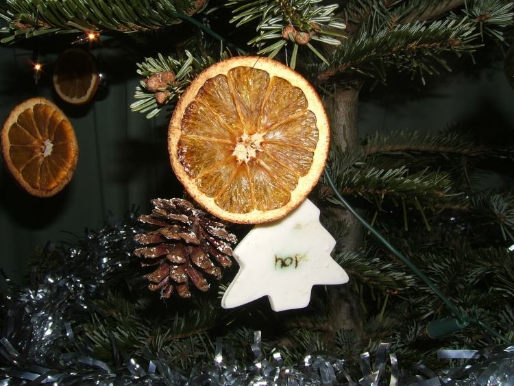 diy-weihnachtsschmuck-getrockneten-orangen-tannenzapfen