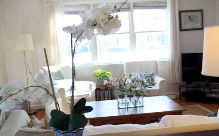 ein-heller-Wohnraum-mit-Orchideen