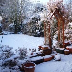 Gartenarbeit im Dezember