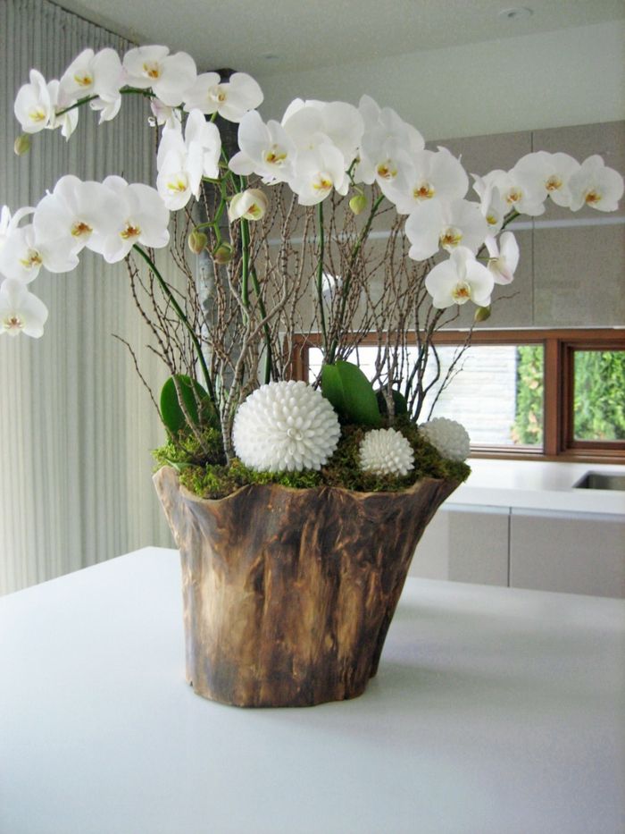 in-Bio-Blumentopf-große-Orchideen