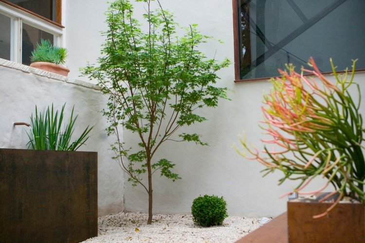 moderne Gartengestaltung Blech Pflanzkübel Innenhof