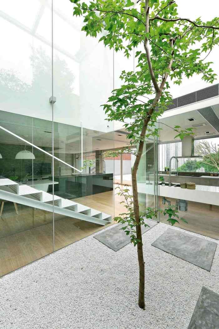 nachhaltiges-haus-grüner-Ansatz-Ahornbaum-im-Zentrum-Dachöffnung-natürliches-licht