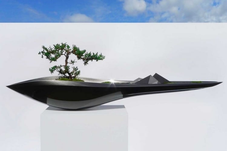schwarze-bonsaischale-modern-hochglanz