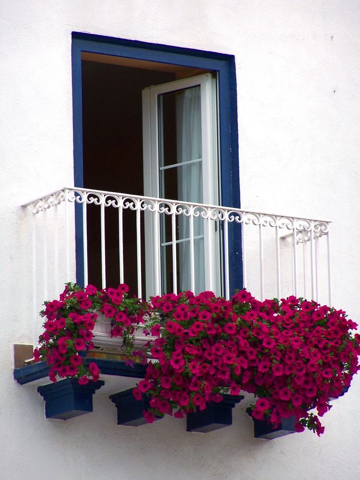 Balkongeländer-Fenstergitter-Französischer-Balkon-Blumen-kleiner-Garten