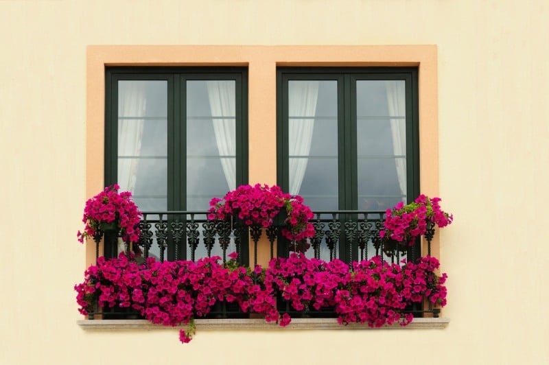 der-französische-balkon-Fenstergitter-Blumenkästen-mit-hübschen-Blumen-verzieren