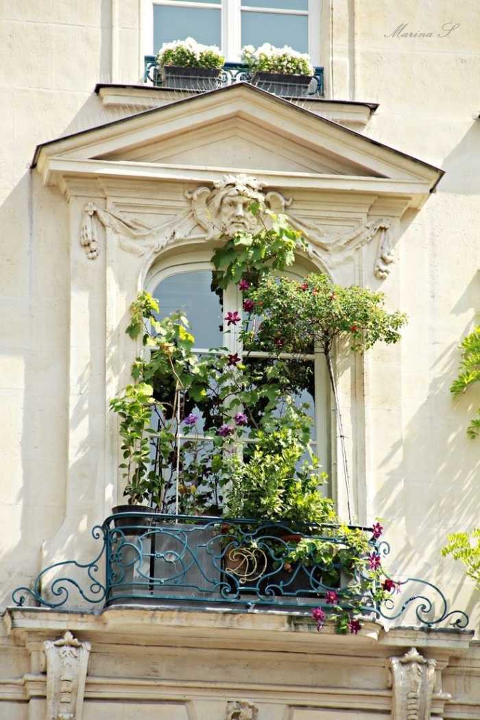 französischer-balkon-bodentiefe-Fenster-Türen-Absturzsicherung-Bürstung-dekorativ-Hängepflanzen