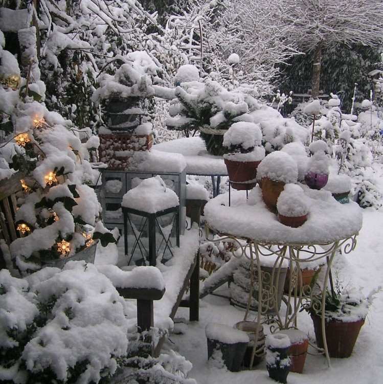 garten-januar-schneebedeckte-baume-dekorationen