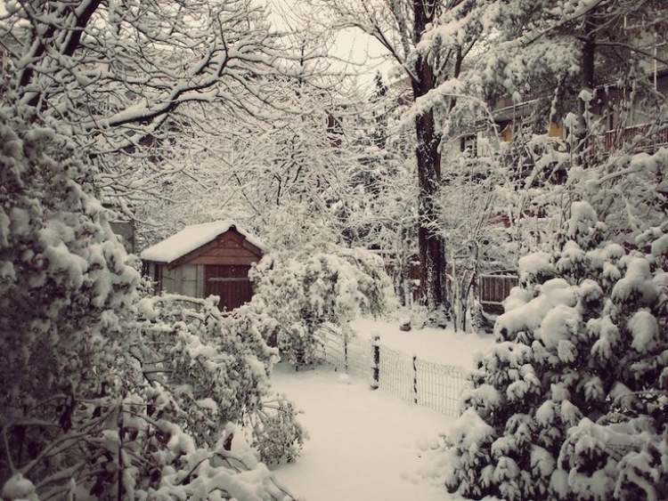 Garten im Januar was-tun-schnee-bedecktes-hauschen