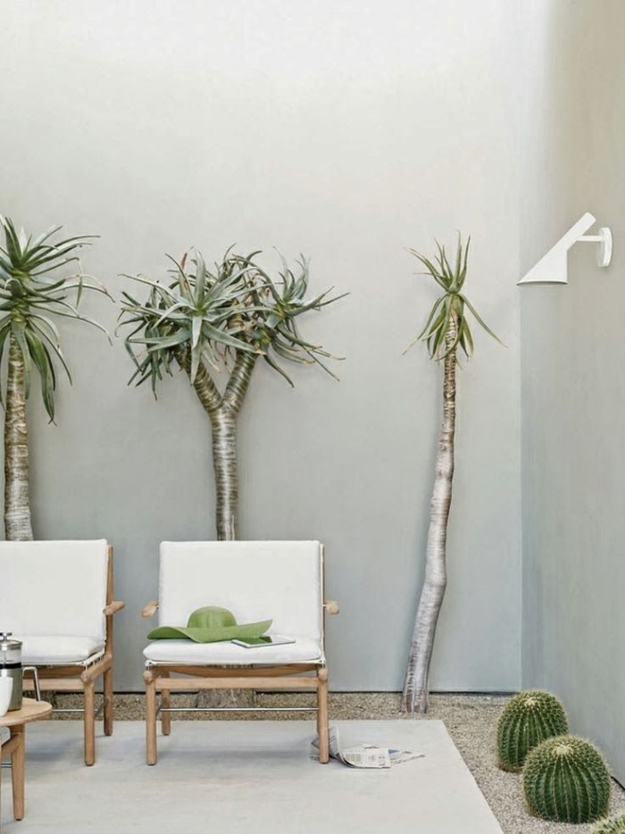 ideen-für-terrassengestaltung-minimalistisches-möbeldesign-exotische-pflanzen