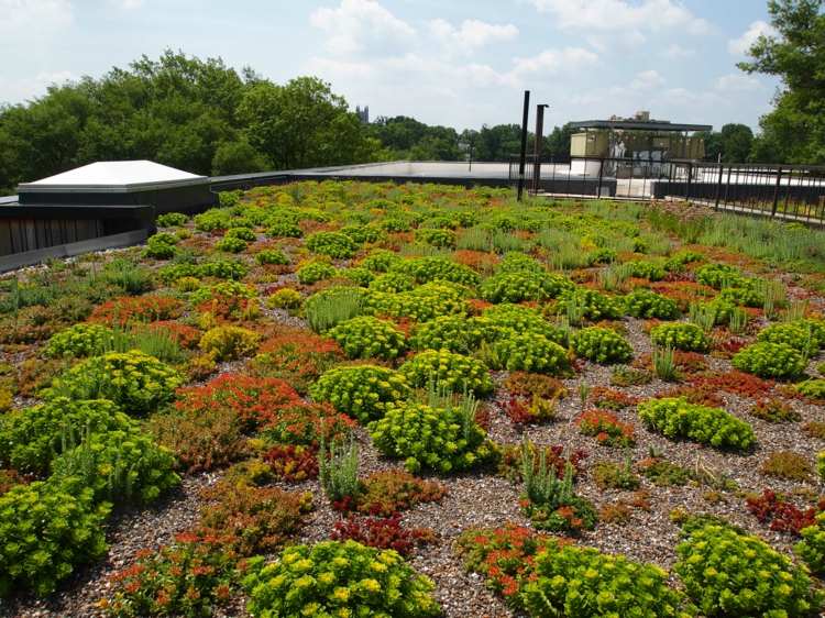Dachbegrünung Dachgarten bepflanzen Gebäude