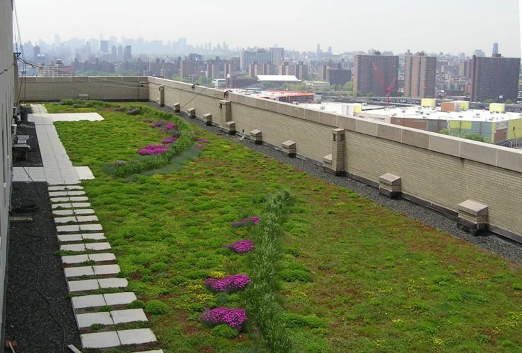  Dachbegrünung große Städte Dachgarten Gründächer