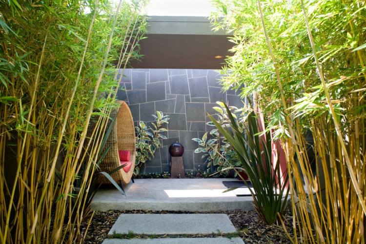 Bambus-Garten-Sichtschutz-Zen-Atmosphäre-Heckenpflanzen