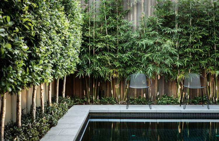 Bambus-Garten-Sichtschutz-hoher-Holzzaun-Bambus-vorne-kleine-Bäume