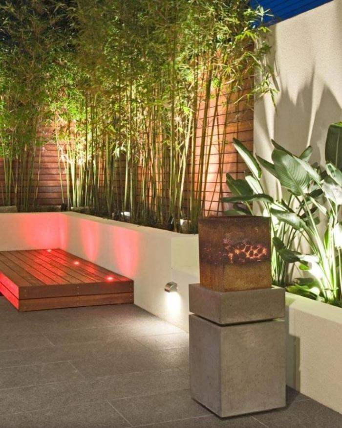 Bambus-im-Garten-als-Kübelpflanze-urbane-Gärten-gestalten