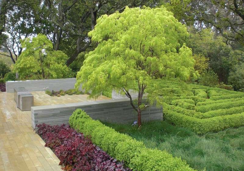 Gartengestaltung-2015-Baum-Stauden-Terrasse-kombinieren