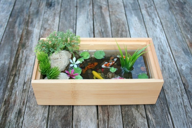 Gartengestaltung Inspirationen Mini Teich Holz Box Goldfische Pflanzen