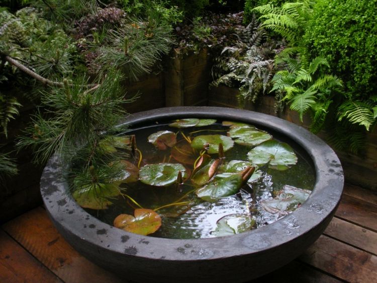 Gartengestaltung Inspirationen Mini Teich anlegen Seerosen Standort