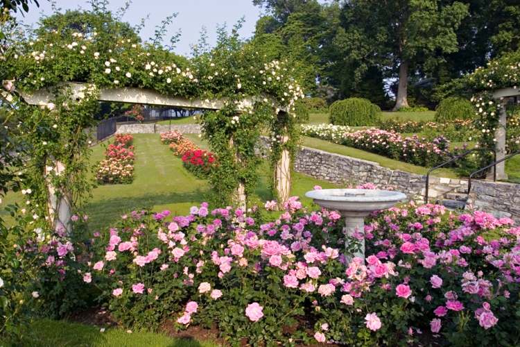 Gartengestaltung Rosengarten Brunnen anlegen Rasenfläche