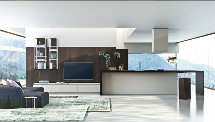 Moderne-modulare-Küche-Gallerie-kleines-Wohnzimmer
