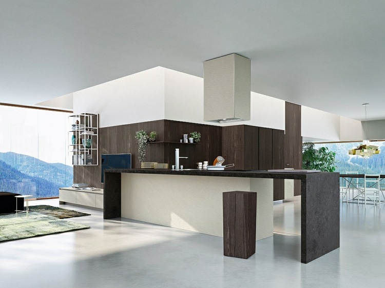 Moderne-modulare-Küche-dunkles-Holz-Buche-Abzugshaube