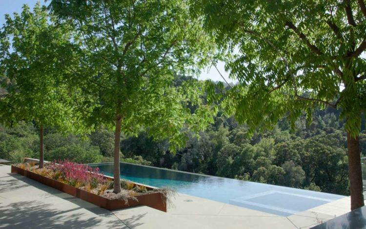 Moderner-Garten-Hanglage-Infinity-Pool-Bäume-niedrige-Stauden