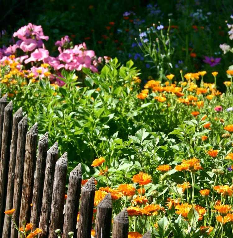 Pflegeleichter Garten Zaun statt Heckenpflanzen Ideen