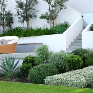 Vorgartengestaltung Bilder Beispiele moderner Garten Lounge Sessel