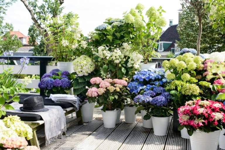 balkon deko ideen 2015 hortensien schatten idee sitzbank bunte farben