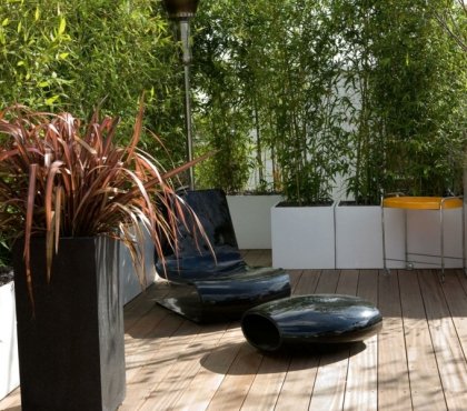 bambus im garten balkon design weisse blumenkaesten lounge stein