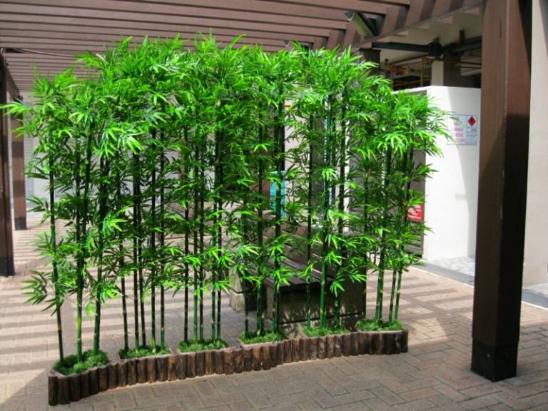 bambus im garten idee stoecke begruenung sitzbank sichtschutz