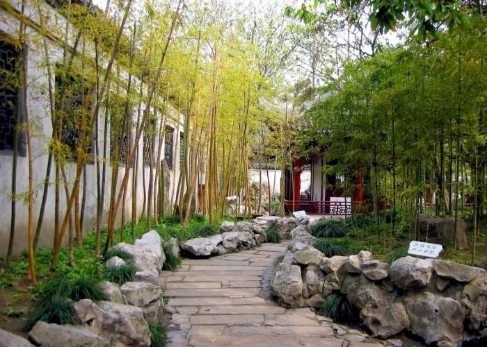 Bambus im Garten