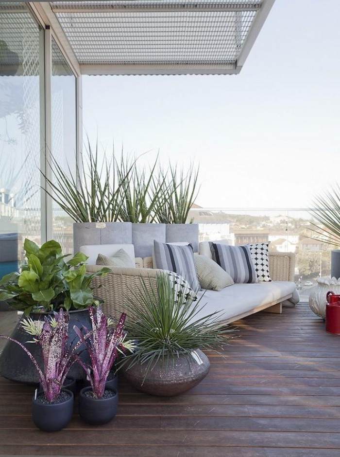 exotisch-modern-balkon-gestalten-relaxsofa-blumentöpfe-grünpflanzen
