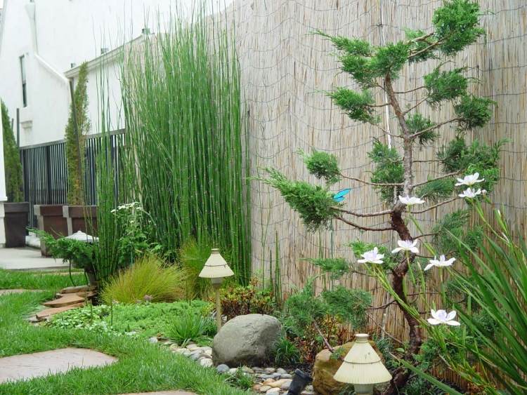 Feng Shui Garten gestalten bambusmatten-sichtschutz-pflanzen-gartenleuchten