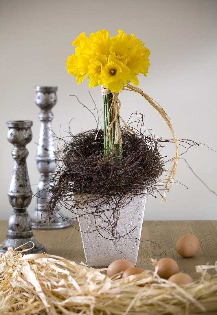 fruhlingsdeko-ideen-2015-narzisse-nest-ranken-eier