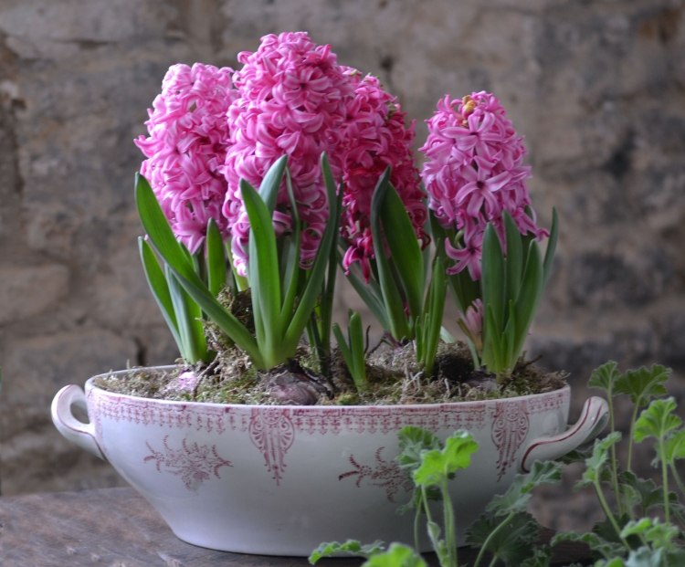 Ideen für Frühlingsdeko shabby-vintage-suppentopf-rosa-hyazinthen