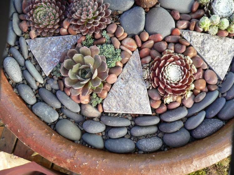 Gartengestaltung mit Steinen -kies-mosaik-pflanzkuebel-sukkulenten