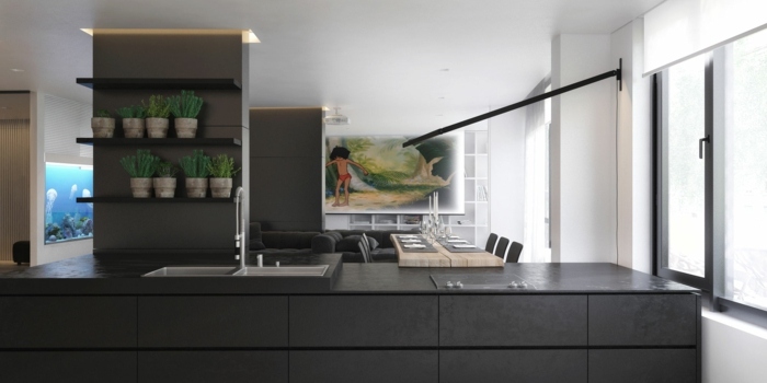 küche design wohnzimmer schwarz regal pflanzen haus