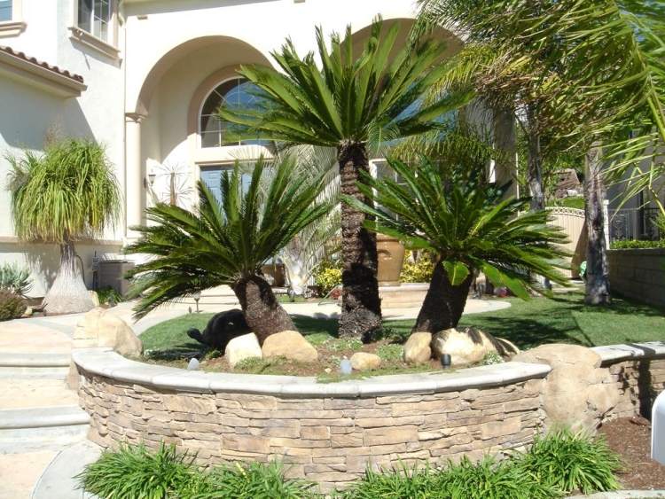 moderne-vorgartengestaltung-exotische-baumarten-palmen-stützmauer-randsteine