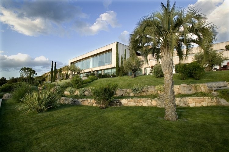 moderner-landschaftsbau-terrassierte-rasenflachen-palmen