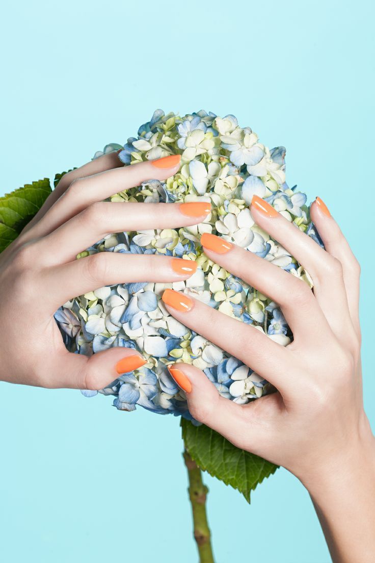 Nageldesign für Frühling 2015 -orange-farbe-blaue-hortensie-hintergrund