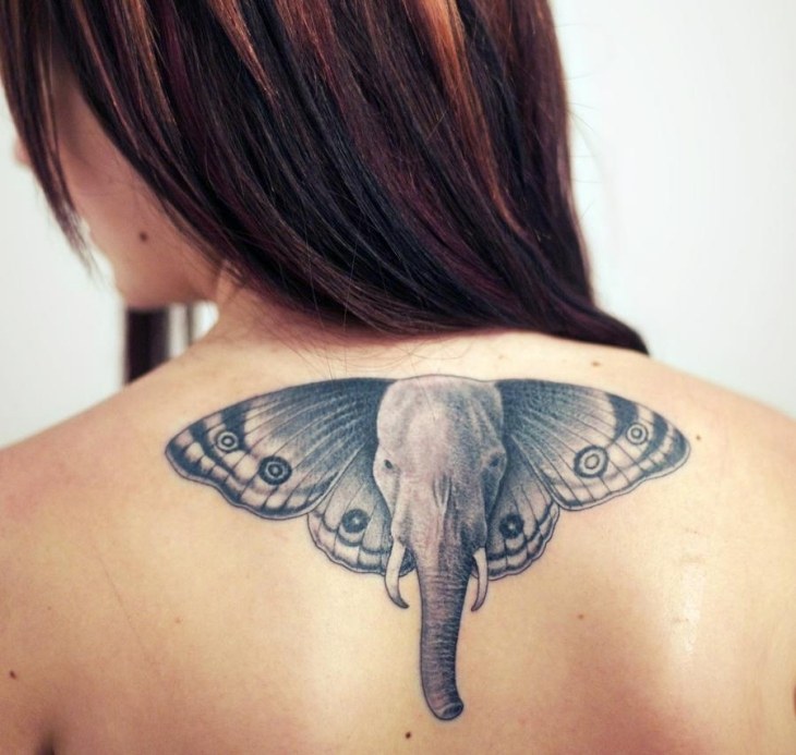 schmetterling-tattoo-motiv-elephanten-schmetterling-fluegel-ohren