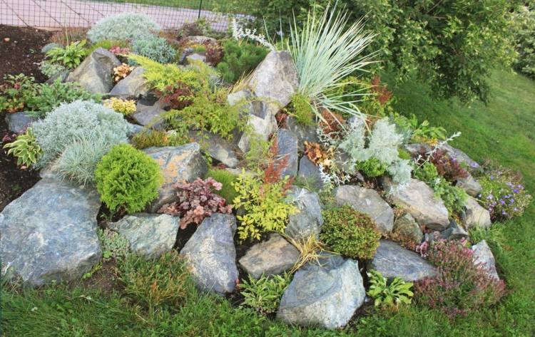 Steingarten gestalten - Nützliche Tipps, Ideen und Beispiele