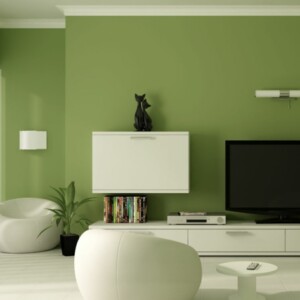 wohnzimmer wandfarben 2015 olive idee weiss interieur lowboard